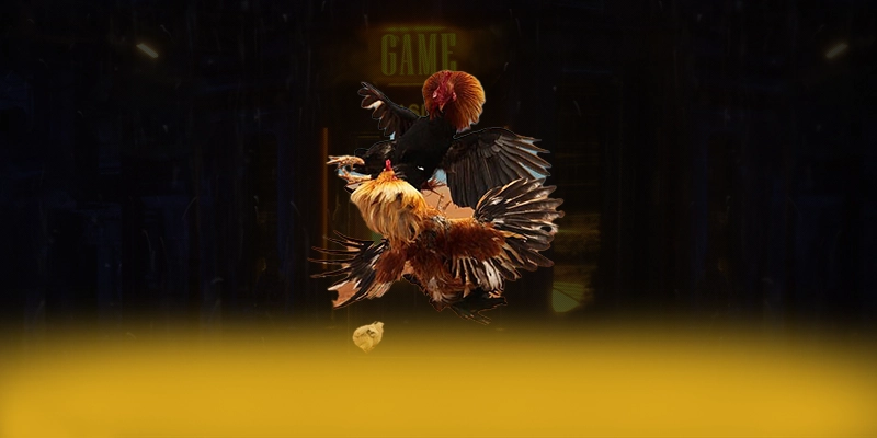 tài xỉu online - Lời kết đầy ấn tượng một cách chi tiết.