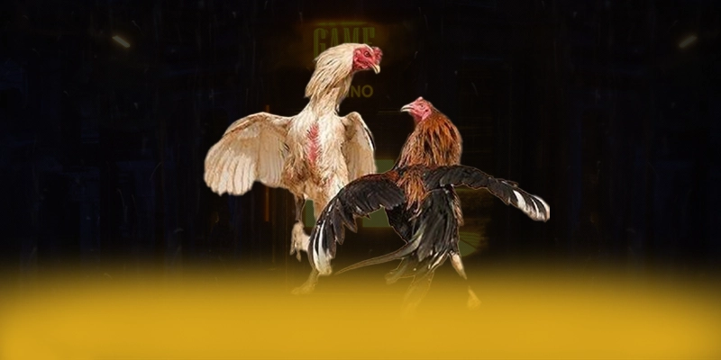 Lu88 - Nền tảng cá cược mang đến trải nghiệm giải trí đỉnh cao được yêu thích nhất – Tổng hợp game hot tại Lu88