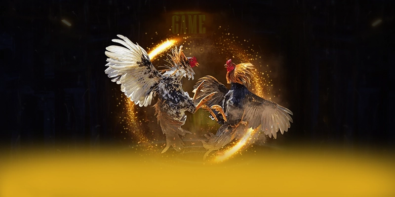 988bet - Sảnh game hào phóng trên thị trường – Khám phá ưu đãi hot của 988bet