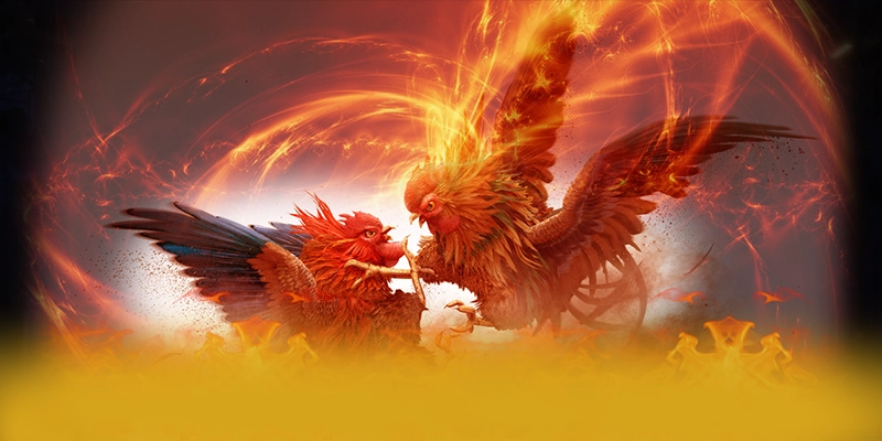 
Giới thiệu KUWIN - Cổng game đáng chơi nhất được cộng đồng đánh giá cao
