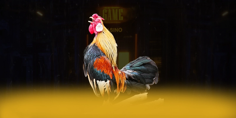 
Trải nghiệm Lu88 - Sảnh game đẳng cấp tại Việt Nam
