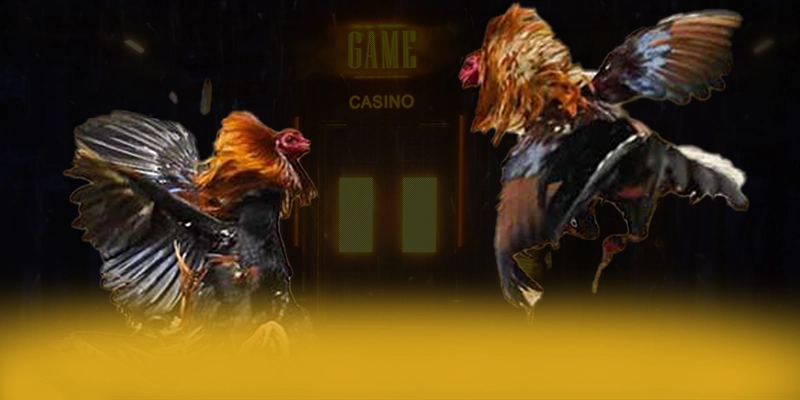 UU88 - Ứng dụng giải trí có quà tặng đặc biệt được người chơi tin tưởng – Khám phá sự kiện hấp dẫn tại UU88