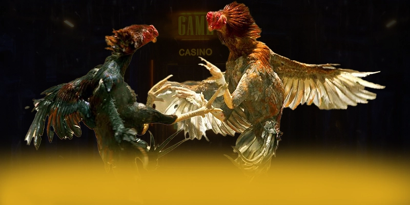 KUWIN – Cổng game phổ biến nhất, được cộng đồng game thủ tin tưởng. KUWIN – Cổng game phổ biến nhất, được cộng đồng game thủ tin tưởng.