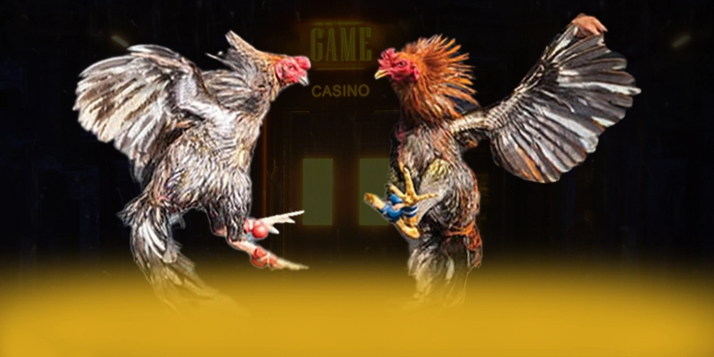 DAGA88 - Ứng dụng giải trí có độ an toàn vượt trội tại Việt Nam – Khám phá cam kết an toàn của DAGA88