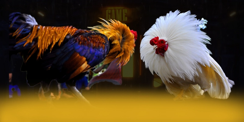 789P - Ứng dụng giải trí với hệ thống bảo mật hiện đại được yêu thích hàng đầu – Đánh giá chi tiết về 789P