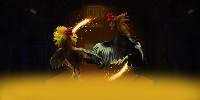 Tài xỉu online - Tổng hợp đánh giá từ cộng đồng game thủ.