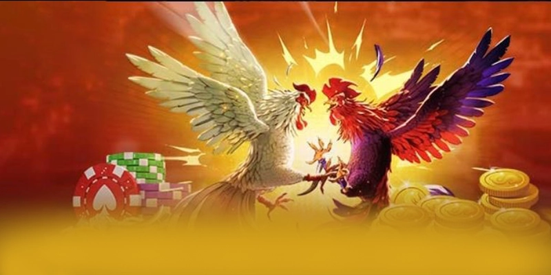 FAFA191 - Cổng game bài ổn định trong giới game thủ