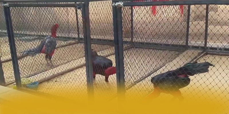 tài xỉu online - Sảnh game được game thủ yêu thích 2025 – Khám phá ngay tài xỉu online