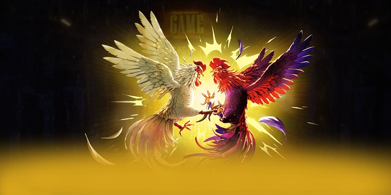 W88 - Cổng game bài tốc độ cao đang làm mưa làm gió W88 - Cổng game bài tốc độ cao đang làm mưa làm gió