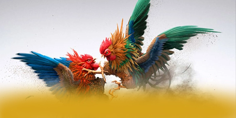 KKWIN – Cổng game đẳng cấp, đang làm mưa làm gió trên thị trường. KKWIN – Cổng game đẳng cấp, đang làm mưa làm gió trên thị trường.